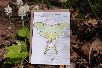 Luna Moth Greeting Card