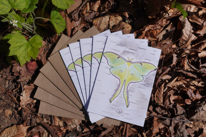 Luna Moth Greeting Card