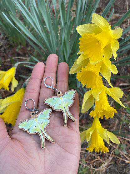 Luna Moth Wooden Earrings